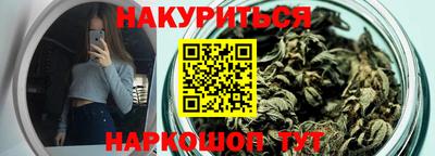 крисы Партизанск