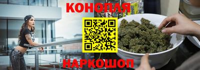 крисы Партизанск